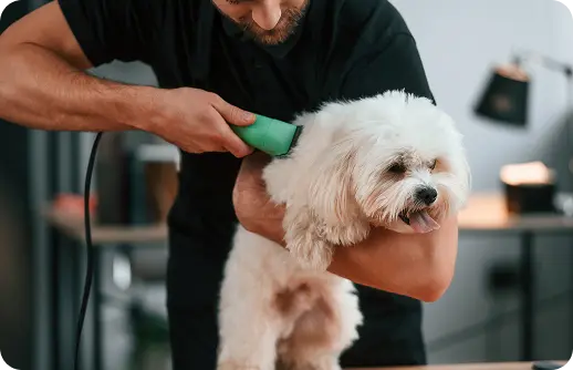 Dog Grooming